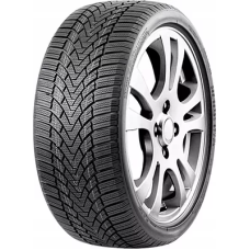 RoadMarch WinterXPro 888 215/65 R16 98T